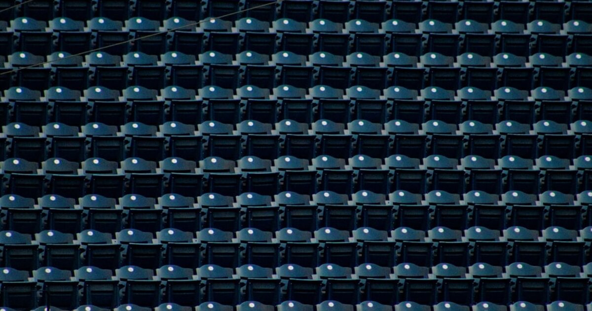 cofo chair premium review 5years optimized